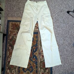 Wild Fable Men's Light Tan Cargo Pants